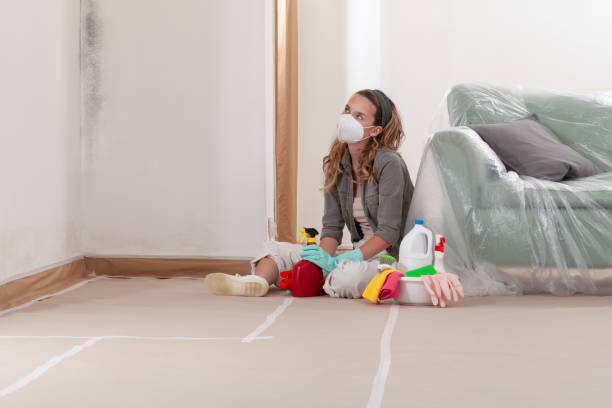 Reliable Mold Remediation contractor in Olney, MD by 24 Hour Mold Removal